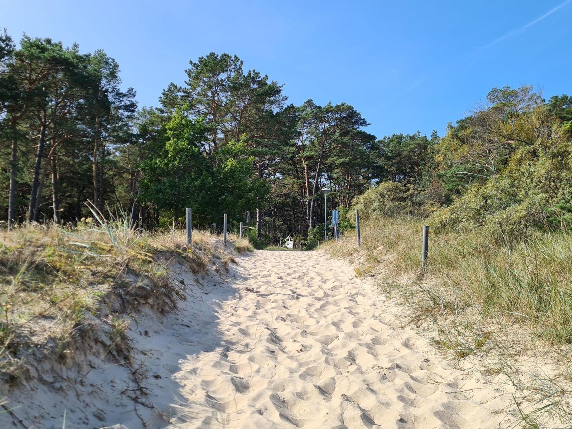 Pink Und Meer - Meerblick, Sauna, Kamin & Whirlpool Baabe Extérieur photo
